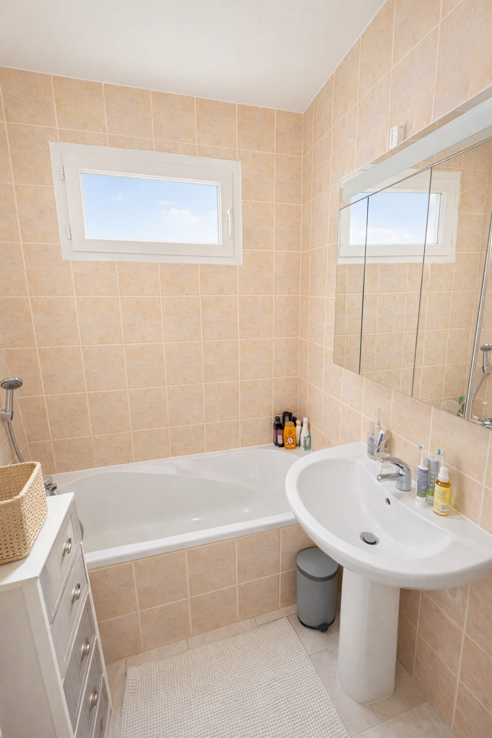 Image_6, Appartement, Marcellaz-Albanais, ref :3808